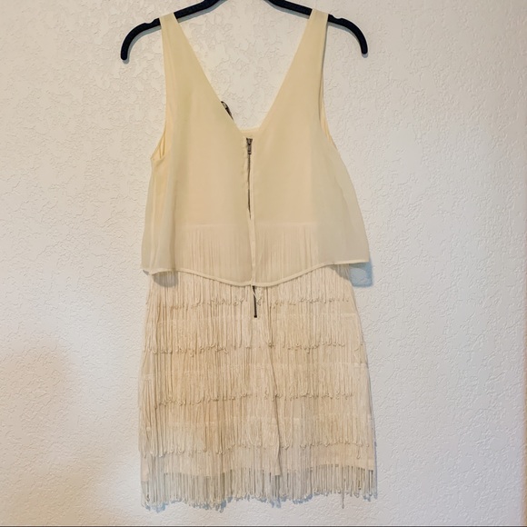 AEO Flapper Fringe Dress - Picture 4 of 4